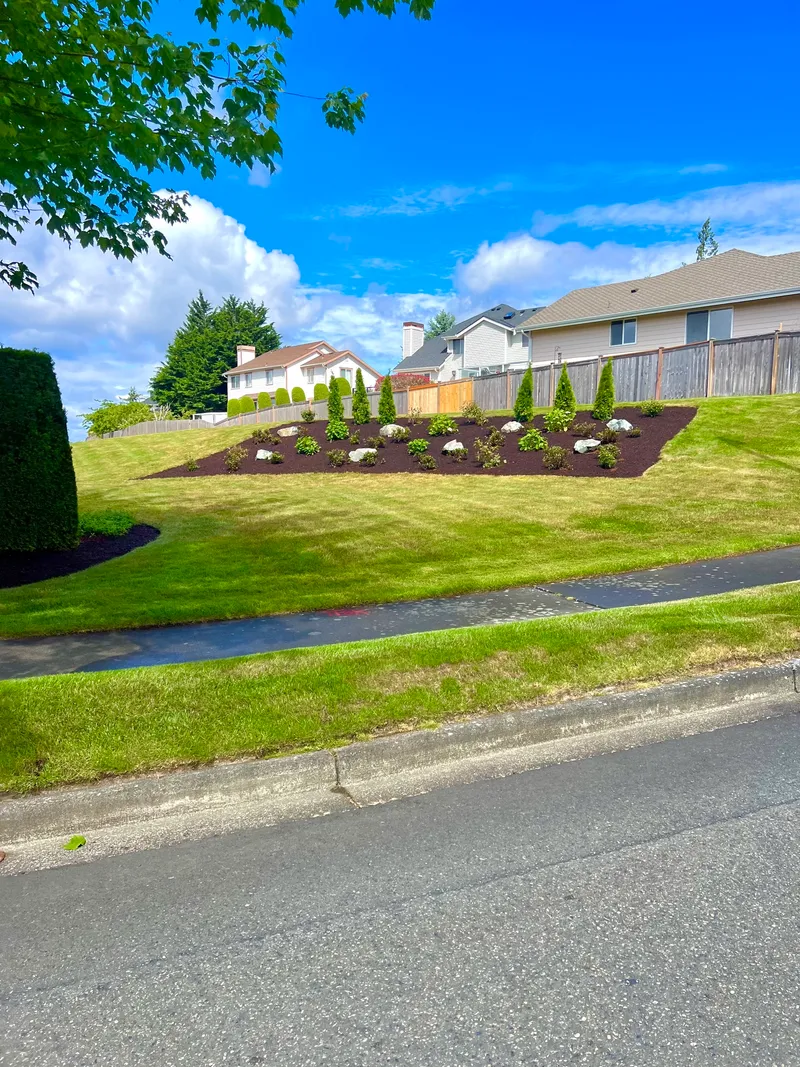 Fresh dark-mulch island bed with new shrubs and arborvitae on a sloped corner lot, framed by a manicured green lawn